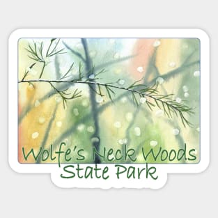 Wolfe's Neck Woods State Park, Maine Sticker